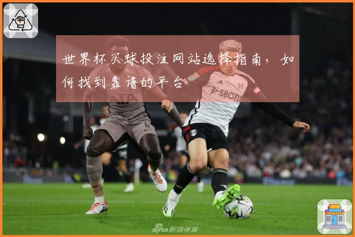 世界杯买球投注网站选择指南，如何找到靠谱的平台