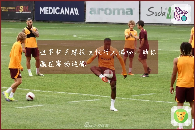 世界杯买球投注技巧大揭秘，助你赢在赛场边缘