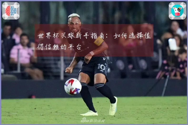世界杯买球新手指南：如何选择值得信赖的平台