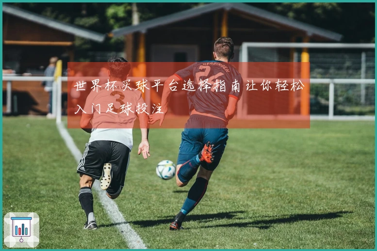 世界杯买球平台选择指南让你轻松入门足球投注