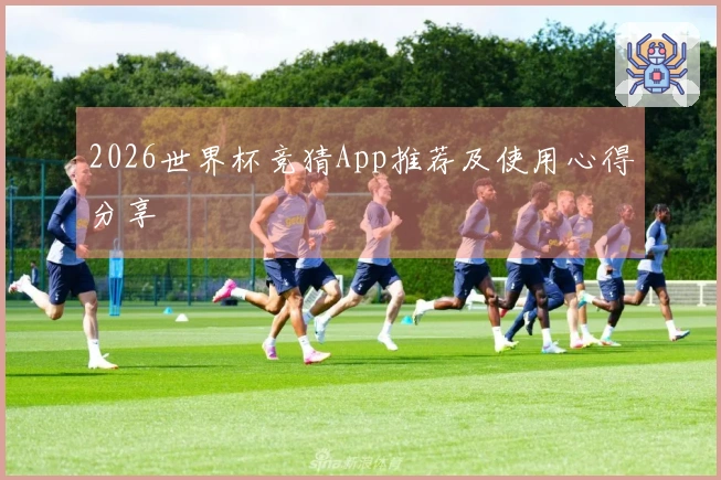 2026世界杯竞猜App推荐及使用心得分享
