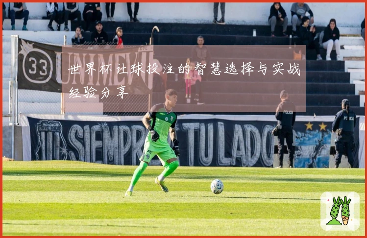 世界杯让球投注的智慧选择与实战经验分享