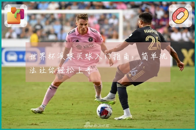 世界杯滚球买球入门指南，简单玩法让你轻松上手